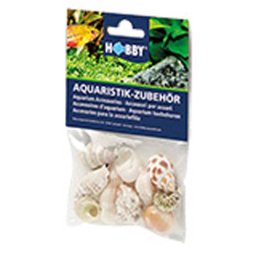 HOBBY Sea Shells Set M 10ks- dekorace do akvária
