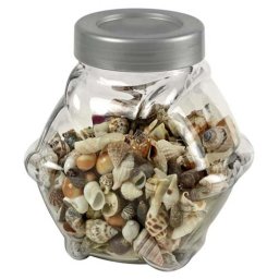 HOBBY Sea Shells decorative glass S/M 1L- dekorativní sklo