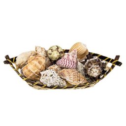 HOBBY Sea Shells XL in a bamboo basket 20ks- dekorace do akvária