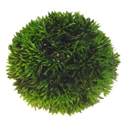 HOBBY Rostlina umělá Plant Ball 13cm