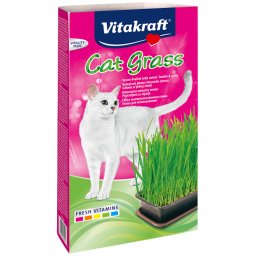 Tráva pro kočky v misce 120 g