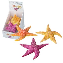 EBI AQUA DELLA Sea Star mix 17 x 15 x 2,3cm