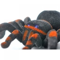 Tarantule na dálkové ovládání