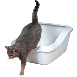 WC XXL s okrajem bílé, zvýšená zadní část