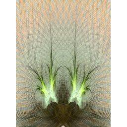 Obraz Rica Belna Magic Garden 5