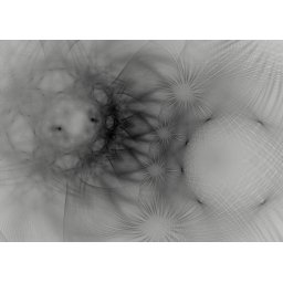 Obraz Rica Belna Graphic Flowers 5