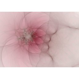 Obraz Rica Belna Graphic Flowers 4