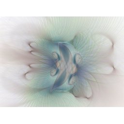 Obraz Rica Belna Graphic Flowers 2