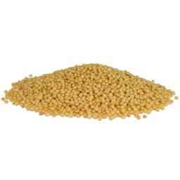 Profikoření - Hořčice bílá celá (100g)