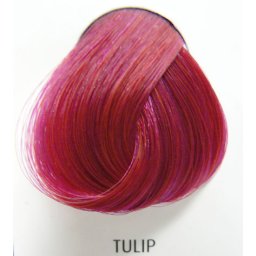 barva na vlasy DIRECTIONS - Tulip
