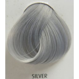 barva na vlasy DIRECTIONS - Silver