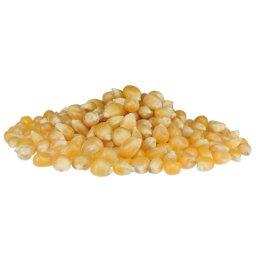 Profikoření - Kukuřice zrno na popcorn (1 Kg)