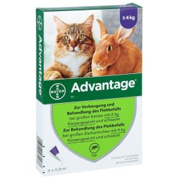 Advantage 80 proti blechám pro kočky a králíky nad 4 kg - pipeta 0,8 ml