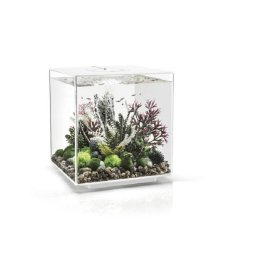 biOrb akvárium CUBE MCR 30 bílá