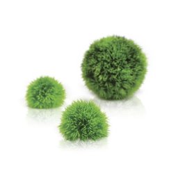 biOrb vodní topiary kuličky set zelená
