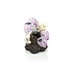 biOrb malá dekorace Barnacle růžová