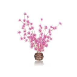 biOrb rostlina Bonsai růžová