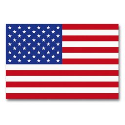 MIL-TEC vlajka USA
