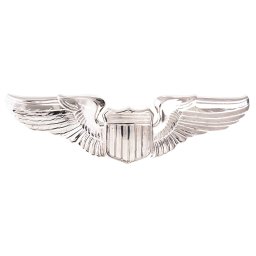 ROTHCO odznak U.S.A.F. PILOT WING STŘÍBRNÝ MATNÝ