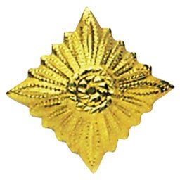 Odznak hodnostní NVA hvězda GOLD - ZLATÁ