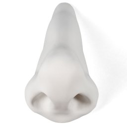 Seletti designové dekorace Memorabilia Mvsevm Nose