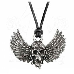 obojek Airbourne - Skull/Wings - ALCHEMY GOTHIC - PP513
