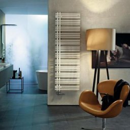 Zehnder Yucca Asym Badheizkörper für Warmwasser- oder Mischbetrieb, ZY300658B100000, YA-170-060