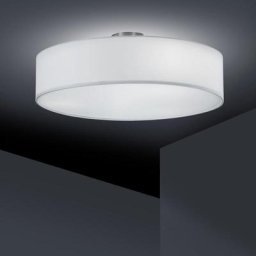 TRIO Deckenleuchte 50, 603900301,