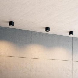 PHILIPS myLiving Phase LED Deckenleuchte/Spot, 533003016,