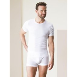 Walbusch Herren Rundhals-Shirt Pima-Cotton Weiß einfarbig
