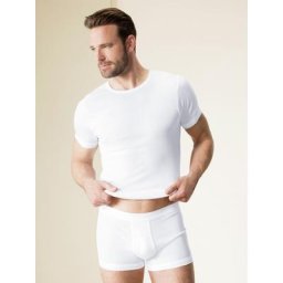 Walbusch Herren Kurze Hose Pima-Cotton Weiß einfarbig