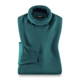 Walbusch Herren Rollkragen-Pullover Gruen einfarbig wärmend