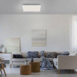 Paul Neuhaus Yukon RGBW LED Deckenleuchte mit Dimmer und CCT, 15620-16,