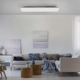 Paul Neuhaus Yukon RGBW LED Deckenleuchte mit Dimmer und CCT, 15621-16,