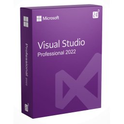 Microsoft Visual Studio 2022 Professional