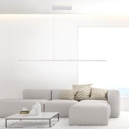 Paul Neuhaus Pure-Lite LED Pendelleuchte mit Dimmer und CCT, 8377-55,