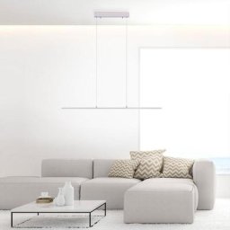 Paul Neuhaus Pure-Lite LED Pendelleuchte mit Dimmer und CCT, 8375-55,