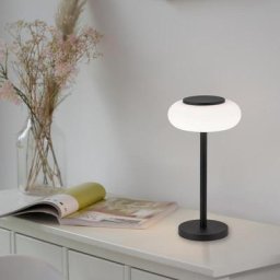 Paul Neuhaus Q-Etienne LED Tischleuchte mit Dimmer und CCT, 4071-18,