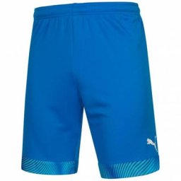 PUMA Cup Herren Shorts 704068-02