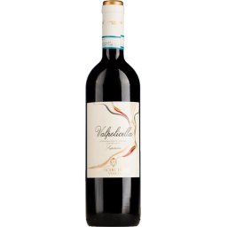 Antiche Terre Venete Valpolicella Superiore