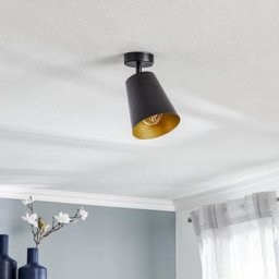 Euluna Deckensstrahler Prism, einflammig, schwarz/gold