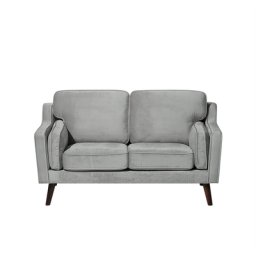 Sofa Hellgrau Samtstoff 2-Sitzer Retro Minimalistisch Wohnzimmer