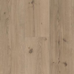 Parador Vinyl Designboden Basic 5.3 Eiche Infinity Grau Holzdekor Landhausdiele