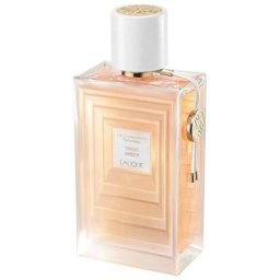 Lalique Sweet Amber Eau de Parfum 100 ml