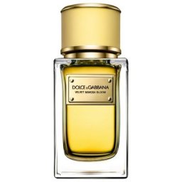 Dolce&Gabbana Velvet Collection Mimosa Bloom Eau de Parfum 50 ml Damen