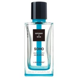 SuperDry SOHO Eau de Toilette 100 ml Herren