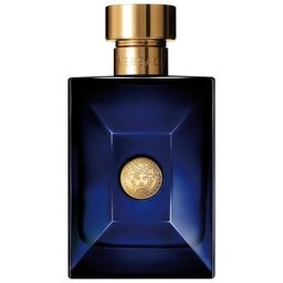 Versace Dylan Blue Dylan Blue Eau de Toilette 100 ml Herren