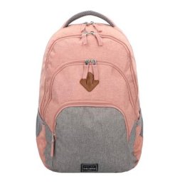 Travelite Basic Rucksack 45 cm Laptopfach Rucksäcke Silber