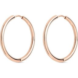 FAVS Creolen Edelstahl Damen