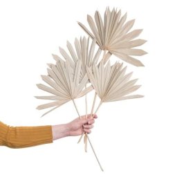 BUTLERS FLOWER MARKET Trockenblumen Palmblatt Länge 60cm Kunstblumen & Pflanzen